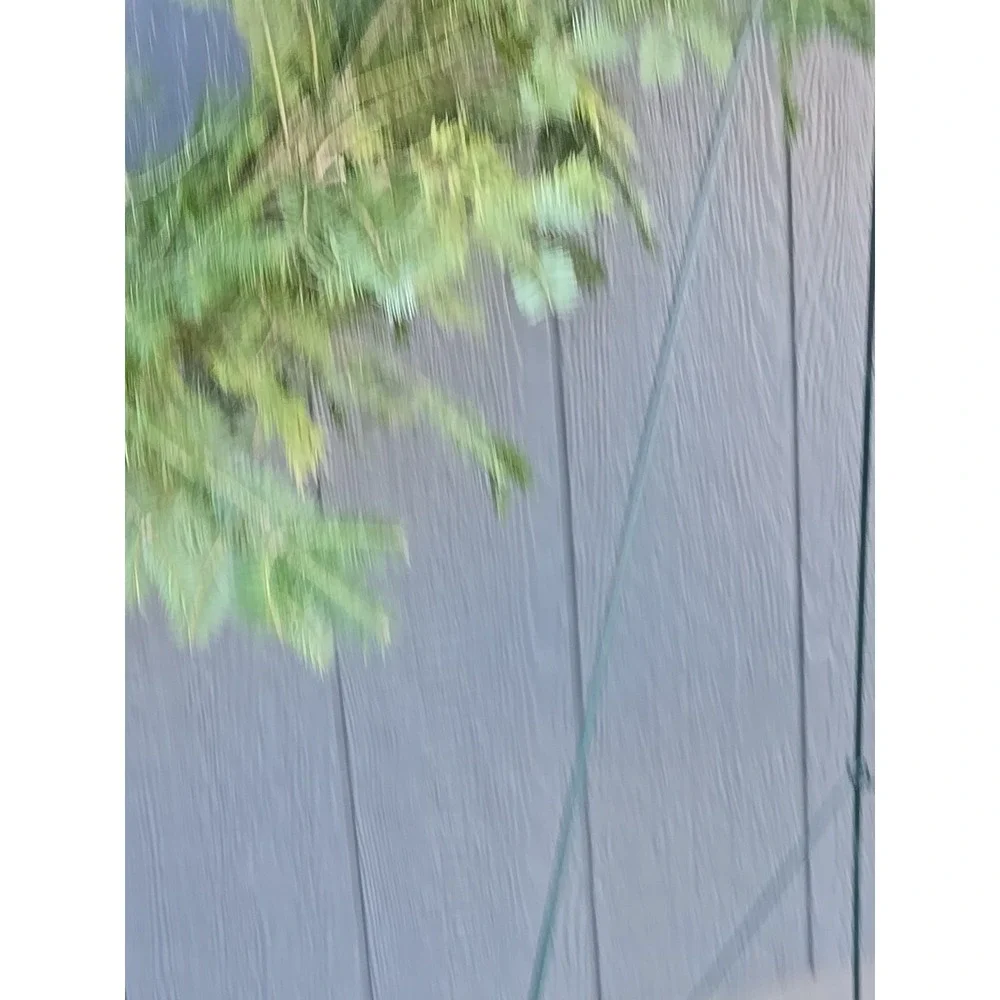 8 FT Christmas Garland Fresh Homemade Balsam Mixed for Outdoor Decoration